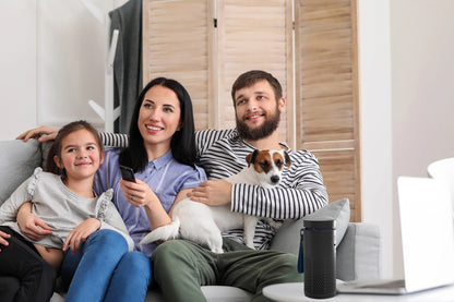 Personal Air Purifier for Car Home or Travel